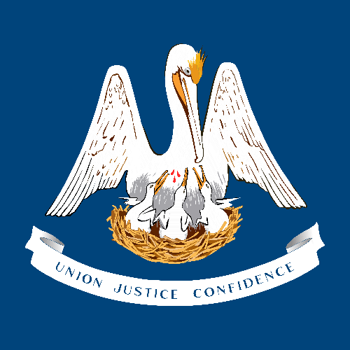 Louisiana flag