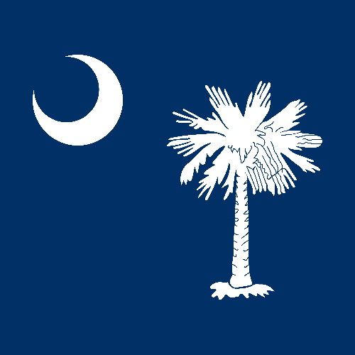 South Carolina flag
